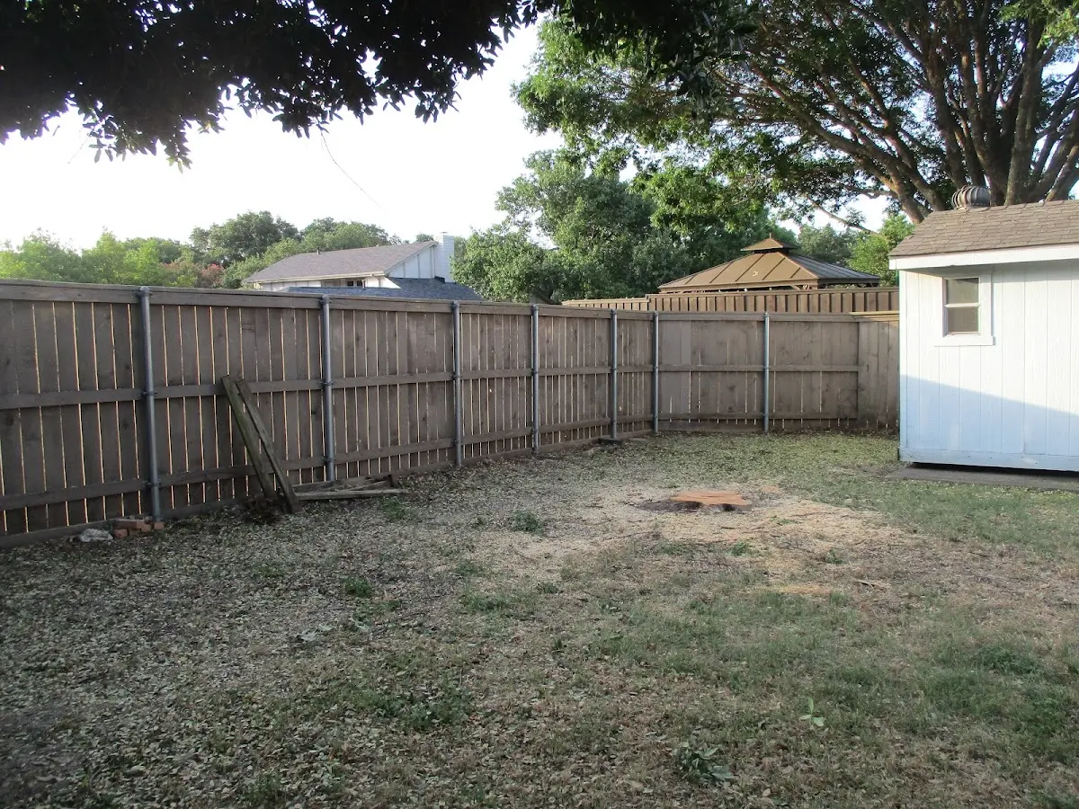 Cleared yard after professional tree removal in Vallonia